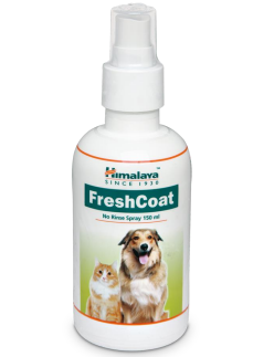 FRESHCOAT SPRAY 150ML 